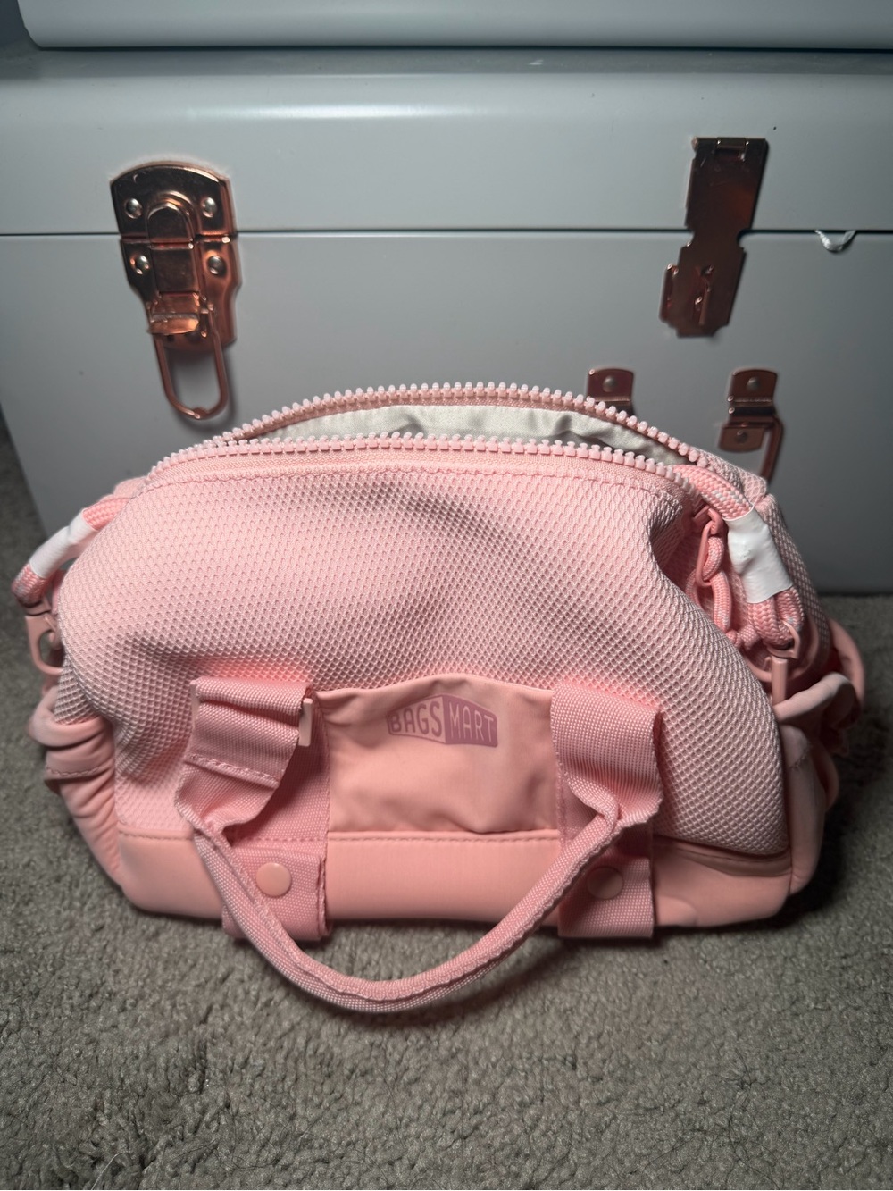 BagSmart Pink Mini Tote Bag